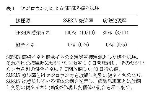 表1 セジロウンカによるSRBSDV媒介試験