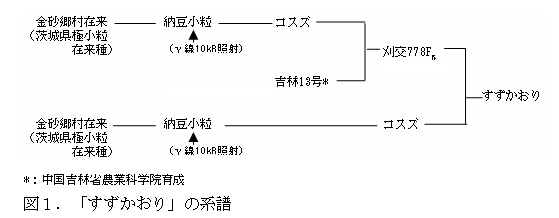 図1 「すずかおり」の系譜