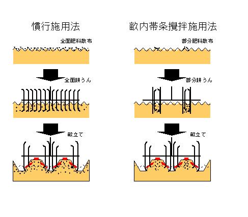 図5 慣行施用法と畝内帯条撹拌施用法