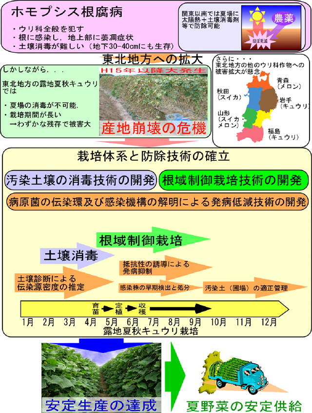 図