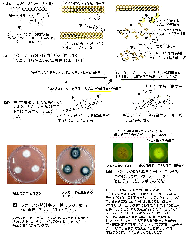 図1～3