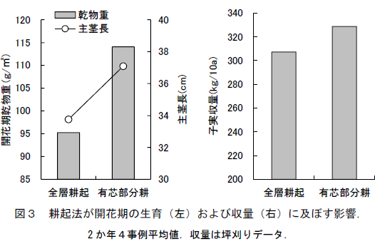 図3 耕起法が開花期の生育(左)および収量(右)に及ぼす影響