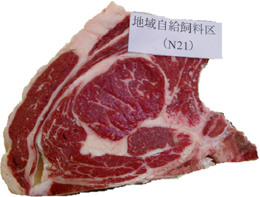 写真1 地域産飼料だけで生産した牛肉