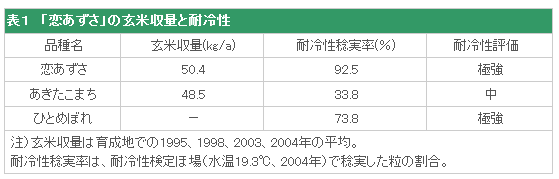 表1 「恋あずさ」の玄米収量と耐冷性