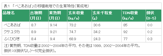 表1 「べこあおば」の移植栽培での生育特性(育成地)