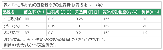 表2 「べこあおば」の直播栽培での生育特性(育成地、2004年)