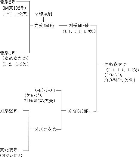 図1 「きぬさやか」の系譜