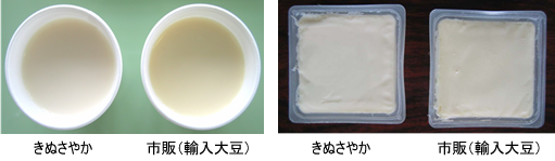 写真2 「きぬさやか」の豆乳および豆腐