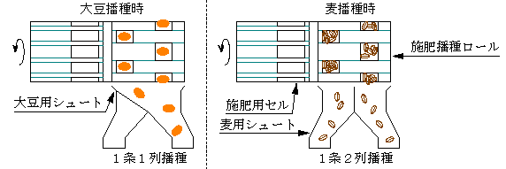 図1 種子繰り出しのしくみ