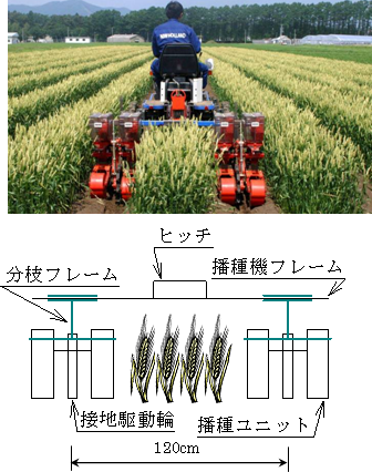 図3 使用する播種機(簡易型)の構成と播種作業の様子