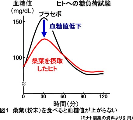 図1 桑葉(粉末)を食べると血糖値が上がらない