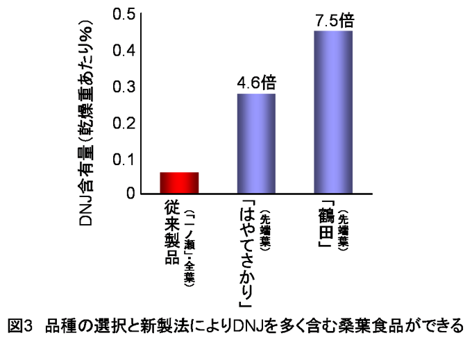 図3 品種の選択と新製法によりDNJを多く含む桑葉食品ができる