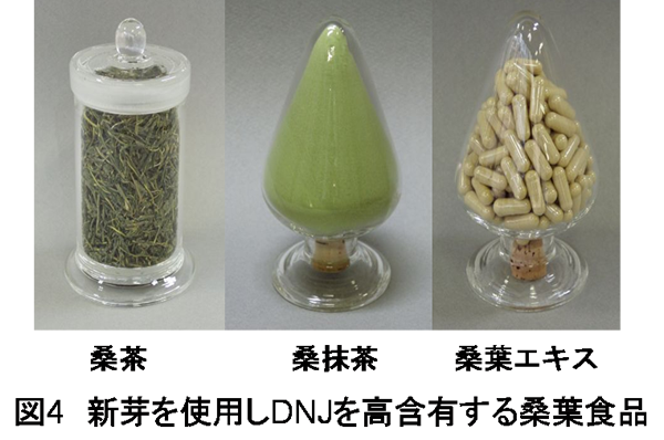 図4 新芽を使用しDNJを高含有する桑葉食品