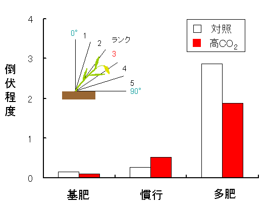 図1 倒伏程度にCO<sub>2</sub>濃度と施肥窒素が及ぼす影響