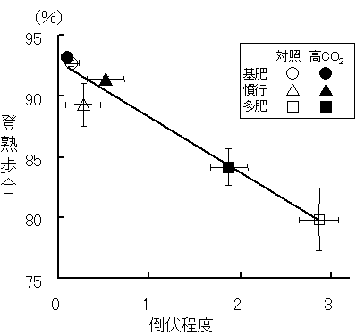 図3 登熟歩合と倒伏程度の関係