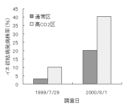 図4 CO<sub>2</sub>濃度とイネ紋枯病発病株率の関係