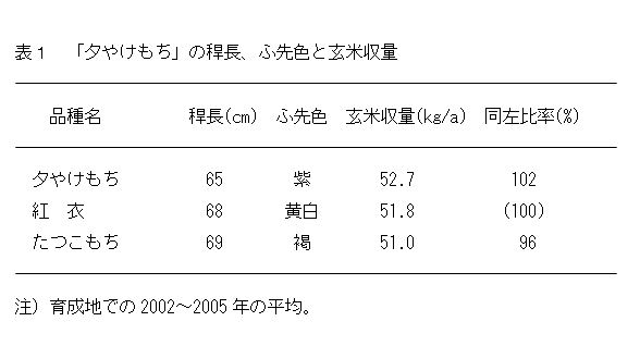 表1 「夕やけもち」の稈長、ふ先色と玄米収量