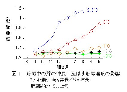 図1 貯蔵中の芽の伸長に及ぼす貯蔵温度の影響