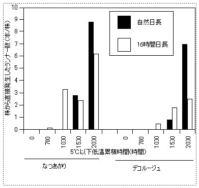 図1 「なつあかり」「デコルージュ」の低温遭遇時間