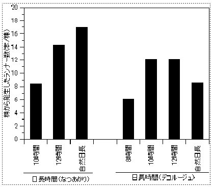 図3 低温充足後の苗に対する日長がランナー発生数に及ぼす影響