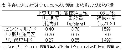 表1 生育初期におけるトウモロコシのリン濃度、乾物量および乾物収量