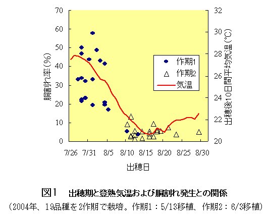 図1 出穂期と登熱気温および胴割れ発生との関係