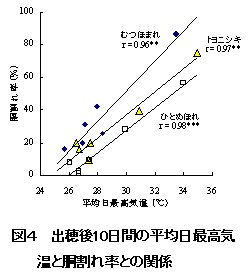 図4 出穂後10日間の平均日最高気温と胴割れ率との関係