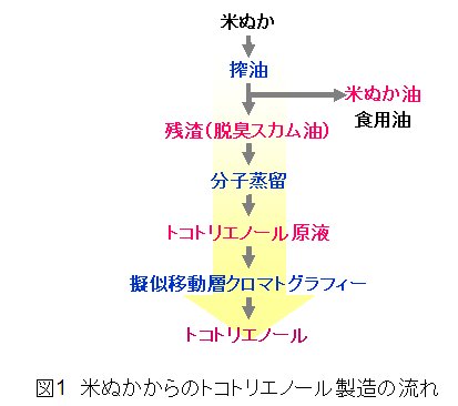 図1 米ぬかからのトコトリエノール製造の流れ