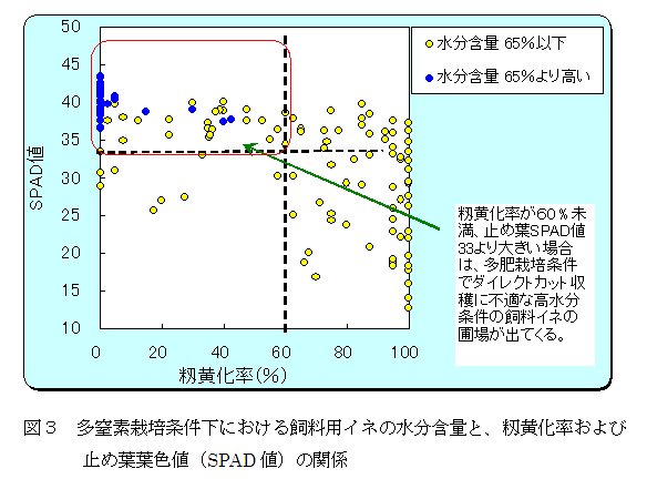 図3 多窒素栽培条件下における飼料用イネの水分含量と、籾記化率および止め葉葉色値(SPAD値)の関係