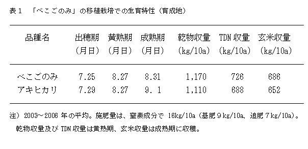 表1 「べこごのみ」の移植栽培での生育特性(育成地)