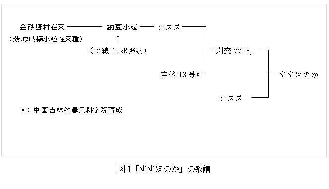 図1 「すずほのか」の系譜