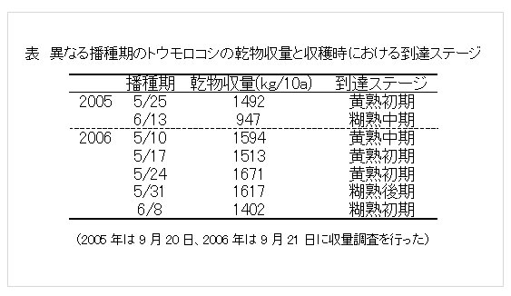 表 異なる播種期のトウモロコシの乾物収量と収穫時における到達ステージ