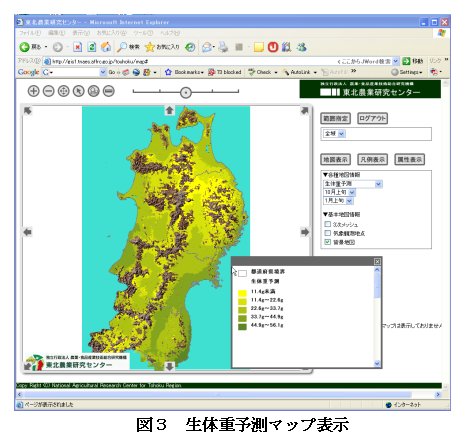 図3 生体重予測マップ表示