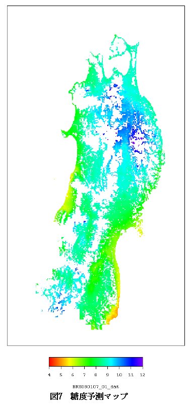 図7 糖度予測マップ