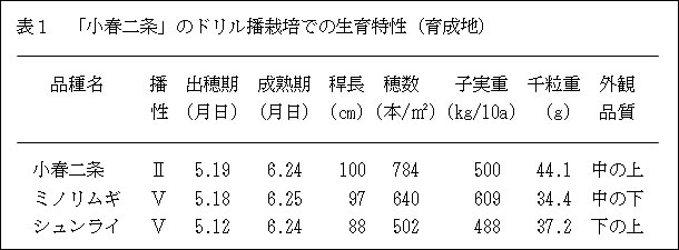 表1 「小春二条」のドリル播栽培での生育特性(育成地)