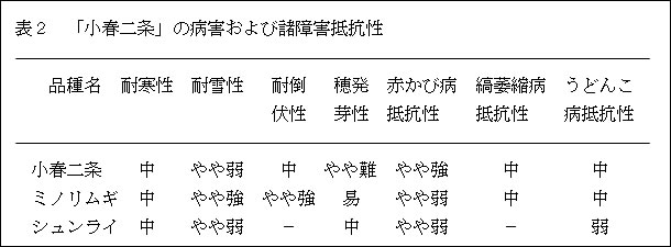 表2 「小春二条」の病害および諸障害抵抗性