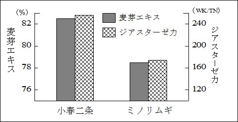 図5 「小春二条」のビール醸造適性。