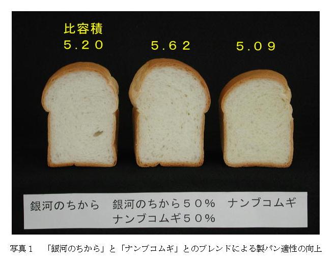 写真1 「銀河のちから」と「ナンブコムギ」とのブレンドによる製パン適性の向上
