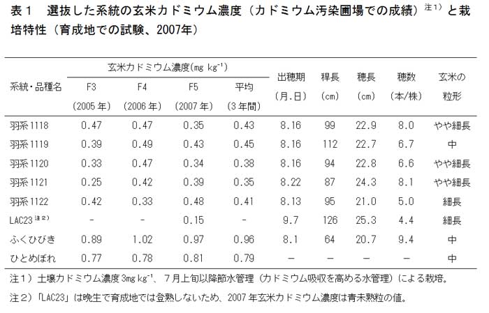 表1.選抜した系統の玄米カドミウム濃度(カドミウム汚染圃場での成績)と栽培特性(育成地での試験、2007年)