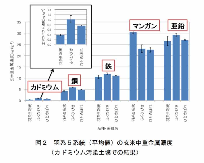 図2.羽系5系統(平均値)の玄米中重金濃度