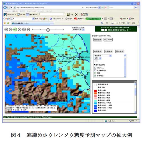 図4.寒締めホウレンソウ糖度予測マップの拡大例