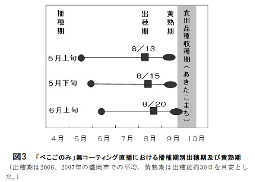 図3.「べこごのみ」無コーティング直播における播種期別出穂期及び黄熟期