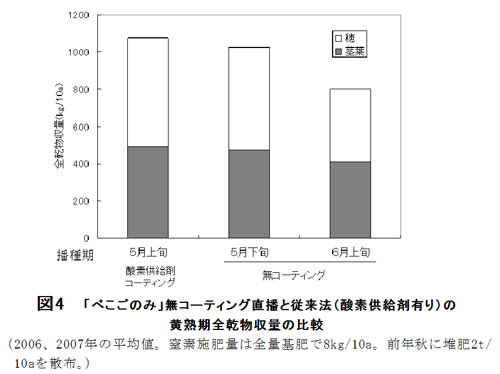 図4.「べこごのみ」無コーティング直播と従来法(酵素供給在有り)の黄熟期全乾物収量の比較