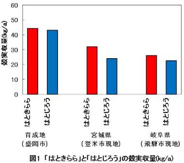 tohokupress111122-1-4