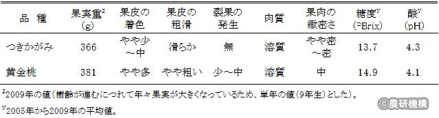 表2つきかがみの果実特性