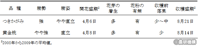 表1つきかがみの栽培特性