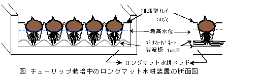 図1 チューリップ栽培中のロングマット水耕装置の断面図