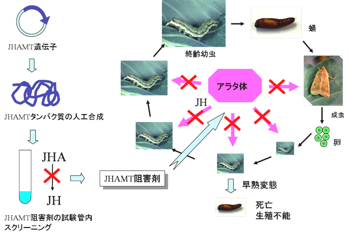 図3