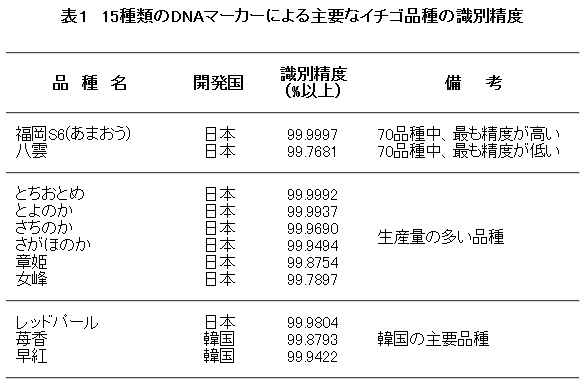 表1 15種類のDNAマーカーによる主要なイチゴ品種の識別精度