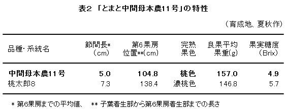 表2 「とまと中間母本農11号」の特性